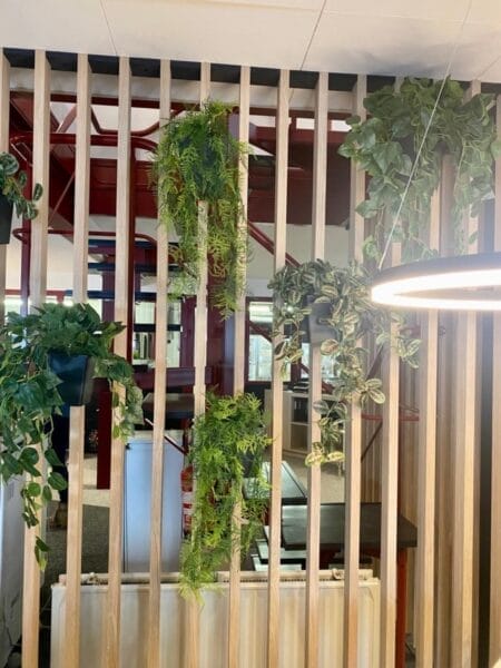 Architecture et design de bureaux : projet Spapens, Bureau Stekke